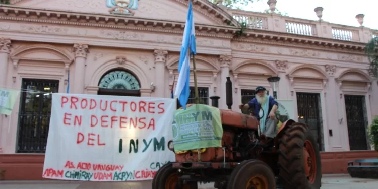 INYMO (CENTRO DE PRODUCCIÓN)